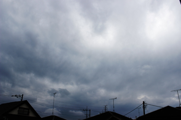 【十種雲形ギャラリー】乱層雲（らんそううん・Nimbostratus）