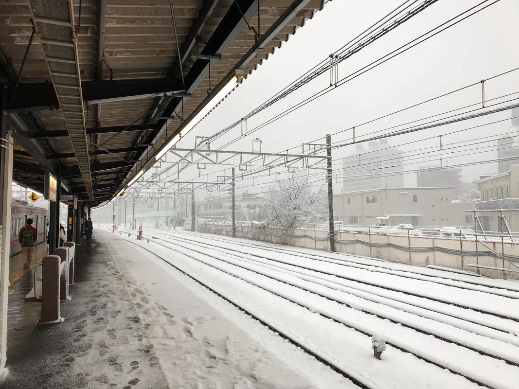 東京に雪を降らせる南岸低気圧とは 予報が難しい理由と過去には大雪も フォト天気