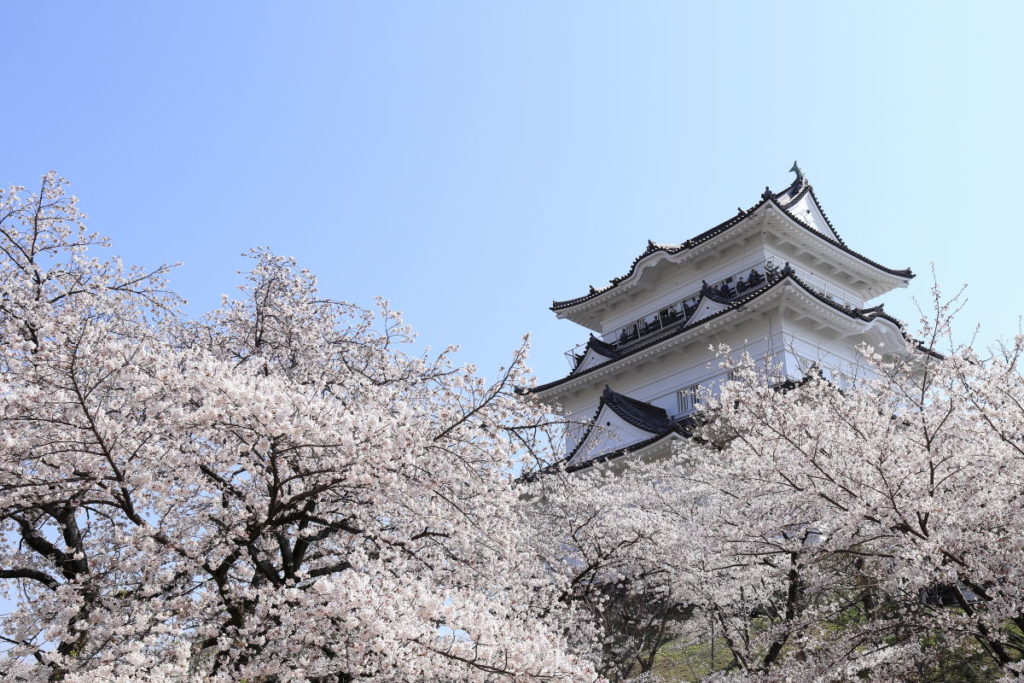 2020年度版】桜の撮影におすすめのレンズを作例ごとに紹介  フォト天気