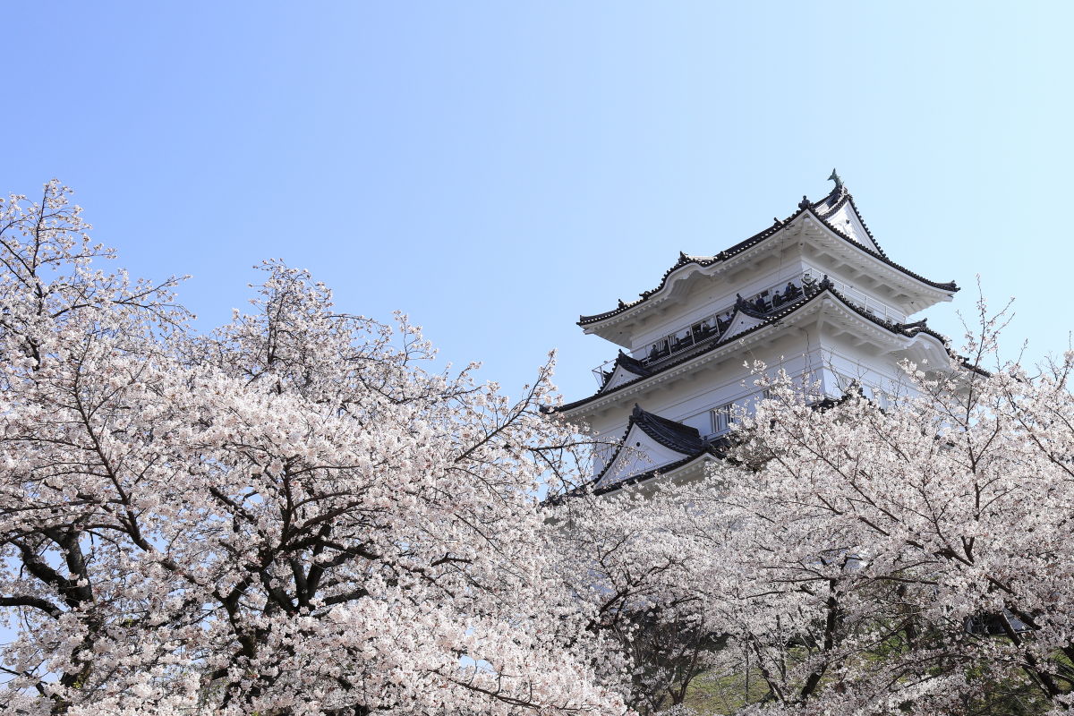 年 神奈川県のおすすめお花見スポット 桜名所10選 フォト天気
