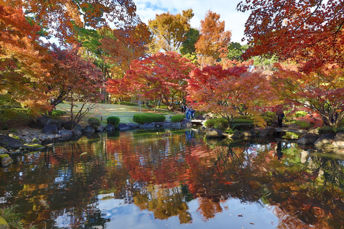 太田黒公園の紅葉2023年見頃や色づき状況・混雑は？ | フォト天気